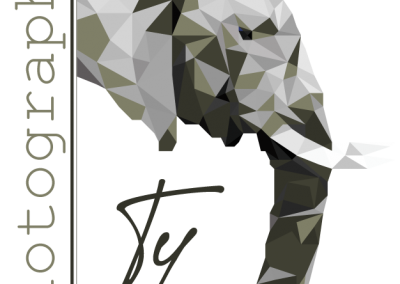 Ty Photography – Logo Design